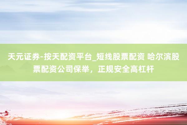 天元证券-按天配资平台_短线股票配资 哈尔滨股票配资公司保举，正规安全高杠杆