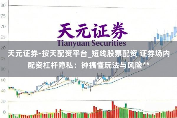天元证券-按天配资平台_短线股票配资 证券场内配资杠杆隐私：钟搞懂玩法与风险**